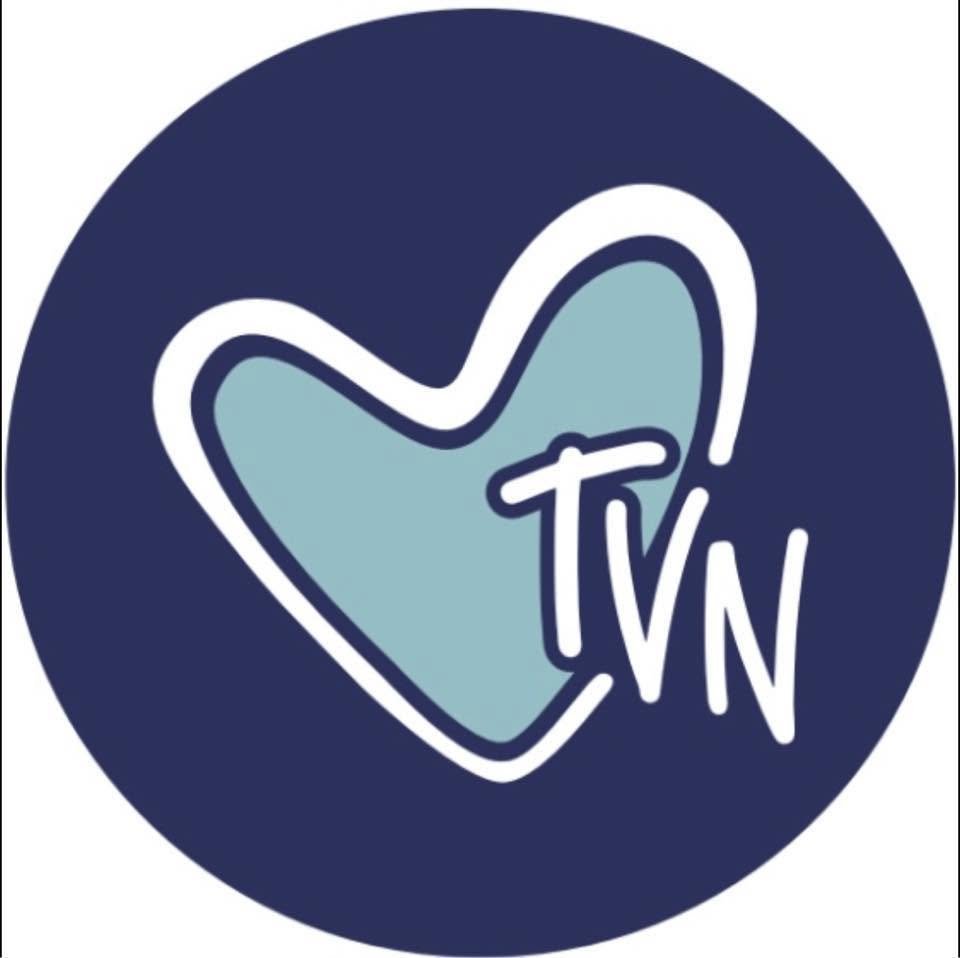 The Vessel Network